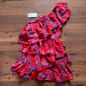Endless Rose floral ruffle dress. Small